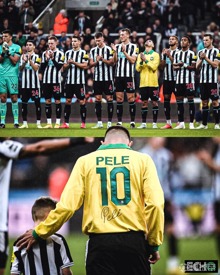 比利时碾压巴西,布鲁诺关键制胜的简单介绍 比利时碾压巴西,布鲁诺关键制胜的简单介绍