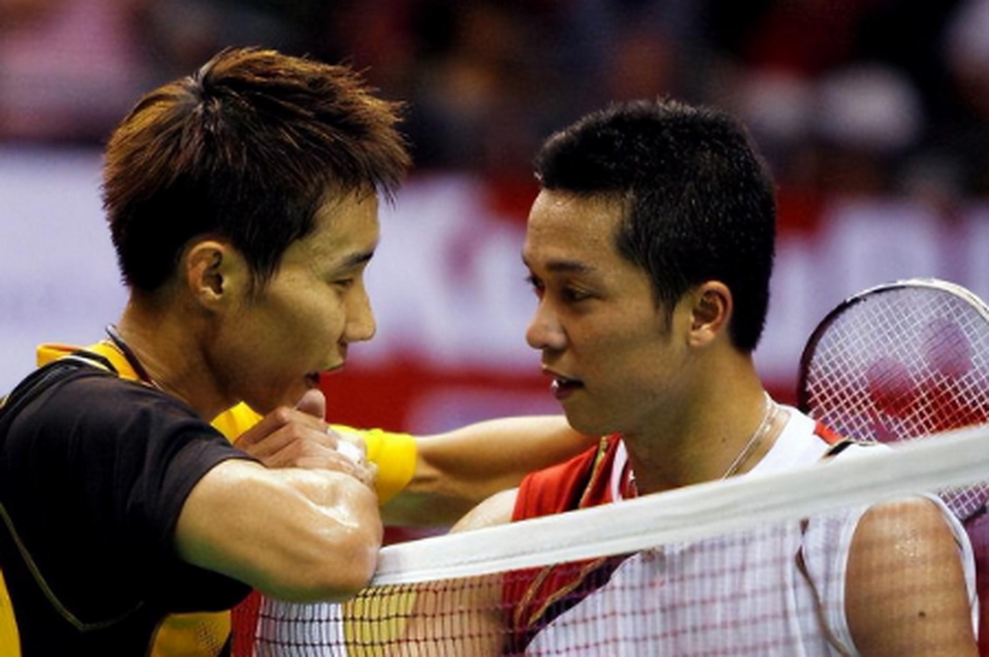 包含丹麦羽毛球队绝地反击日本羽毛球队，陶菲克统治全场的词条