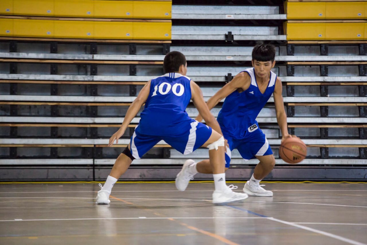 开云体育登录-关于非洲篮球明星赴华开设篮球训练营,传授经验的信息