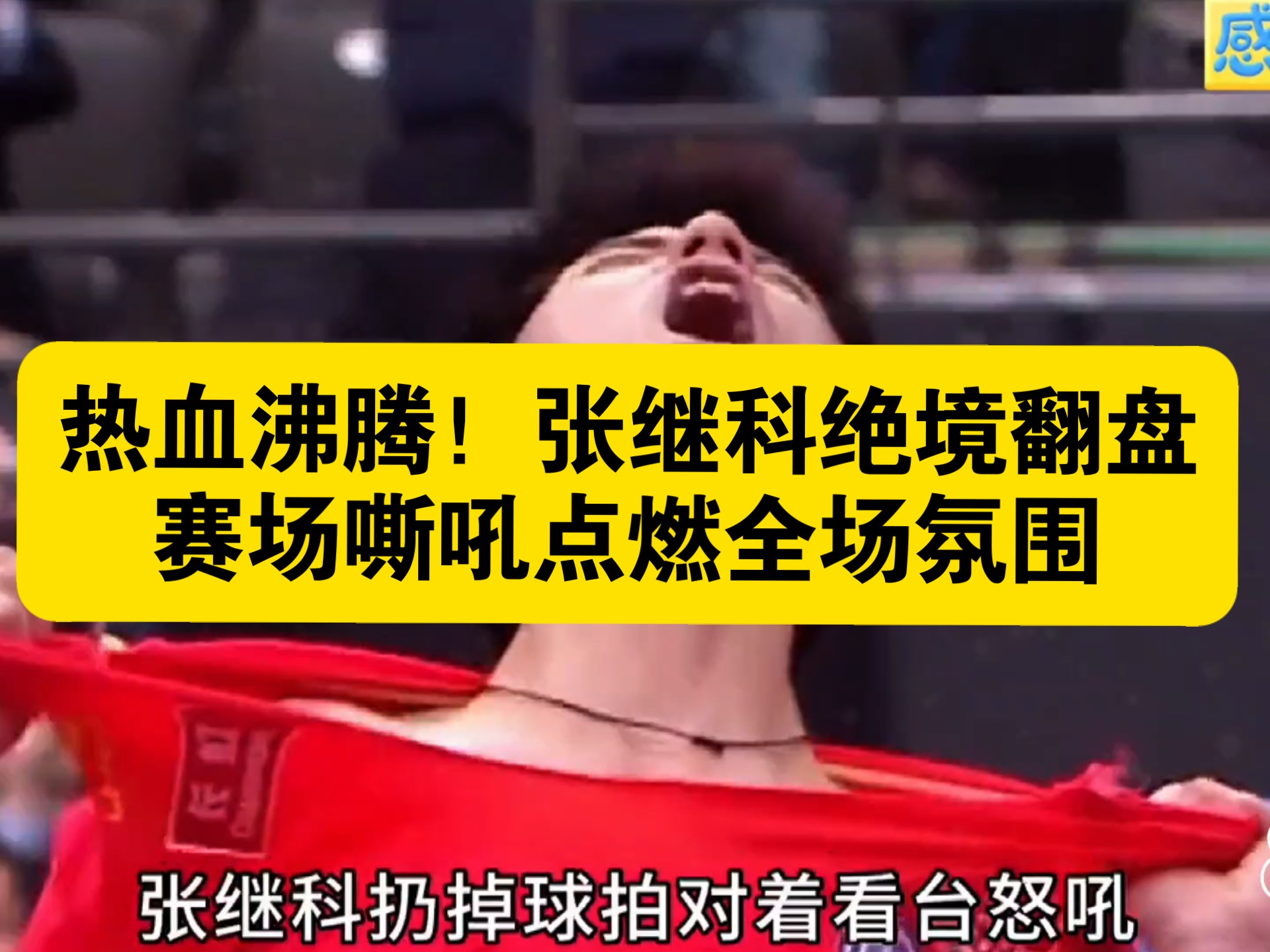 德国乒乓球队险胜波兰乒乓球队，张继科绝境逆转的简单介绍